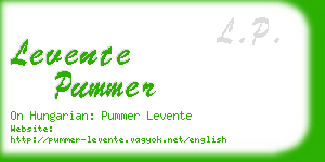 levente pummer business card